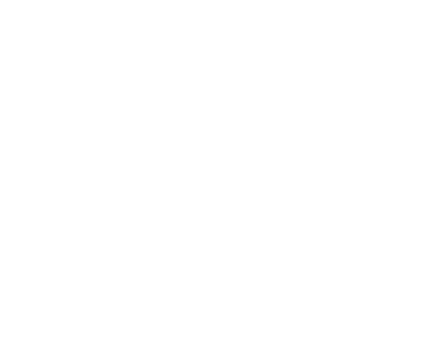 A stone bridge - MAWEN connecting wineries and importers